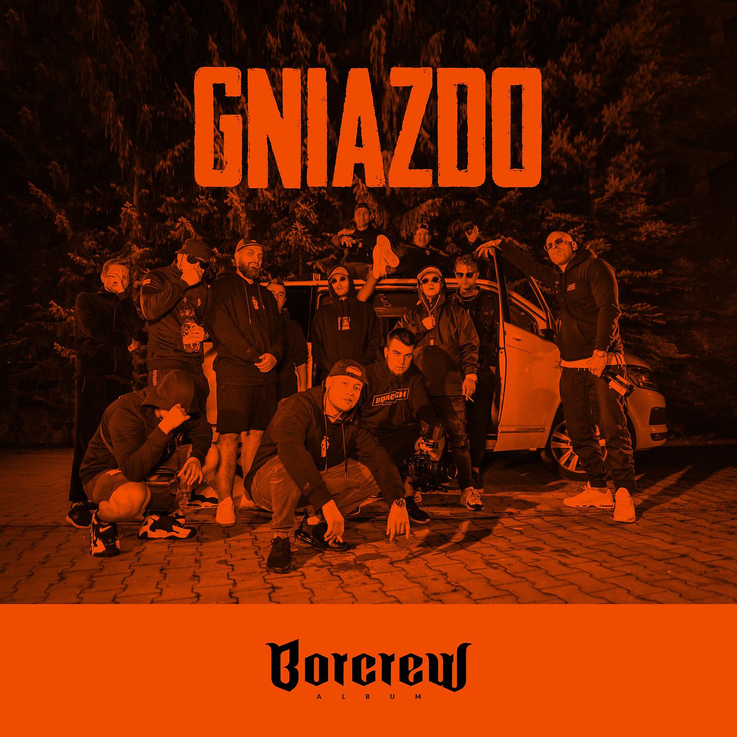 Постер альбома Gniazdo