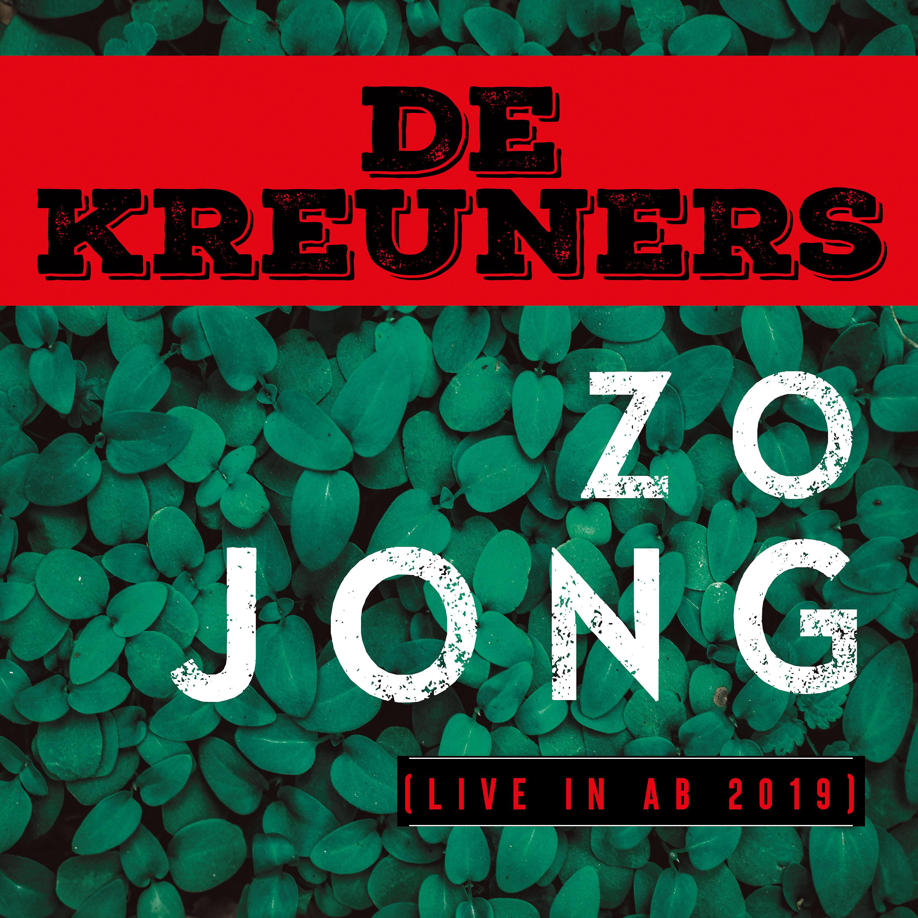 Постер альбома Zo jong (Live in AB 2019)