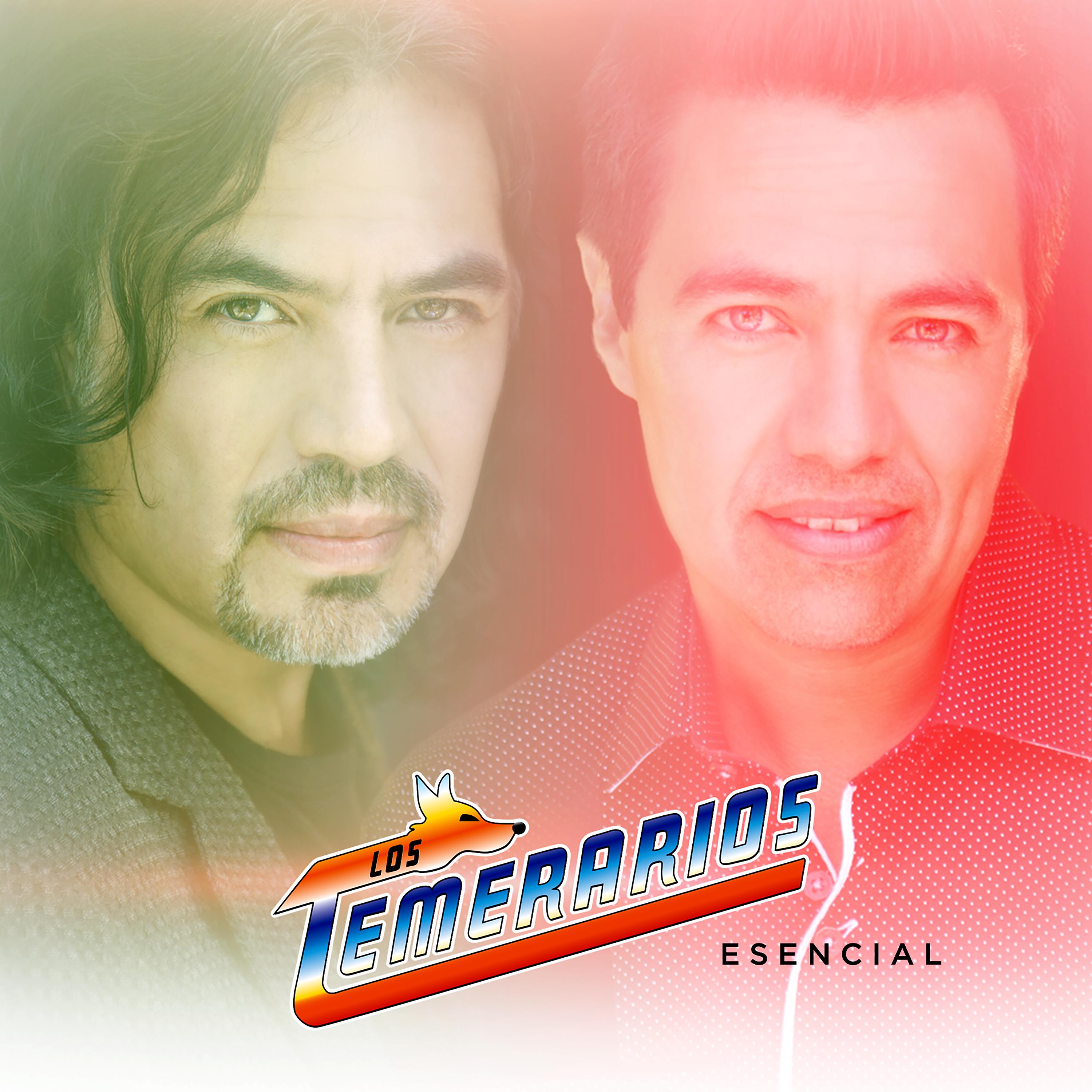 Постер альбома Los Temerarios Esencial