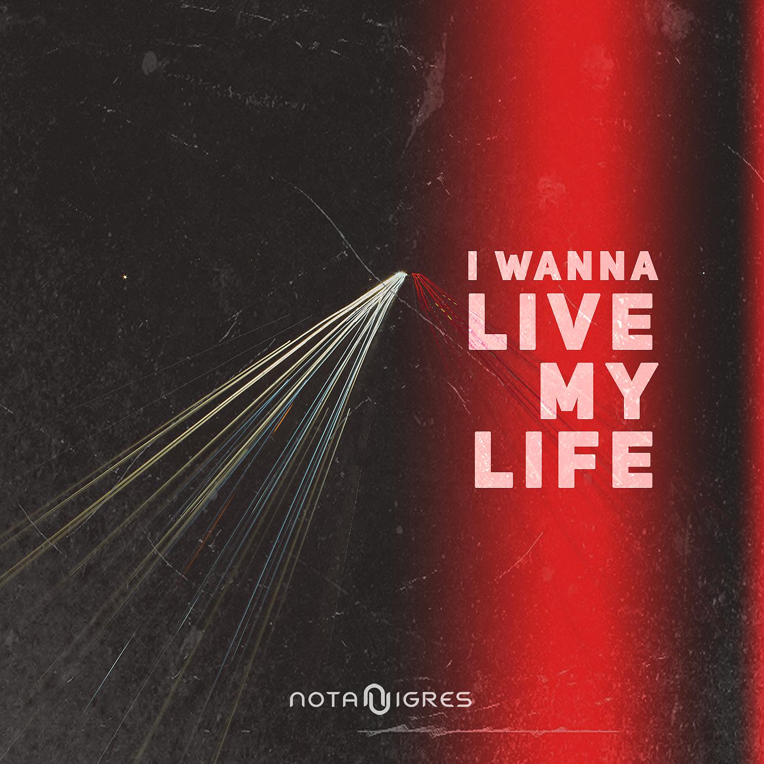Постер альбома I Wanna Live My Life