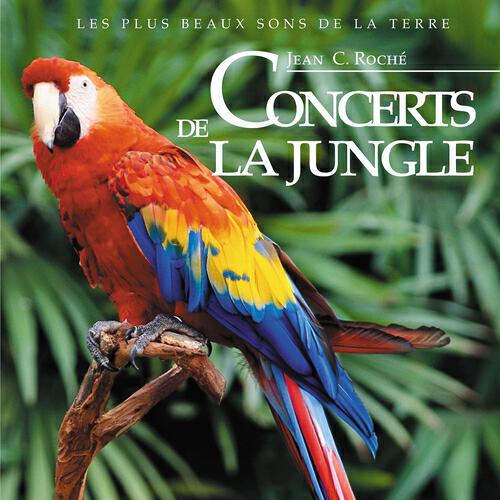 Jean C. Roché - Ambiance de haute montagne près de Ambua Lodge
