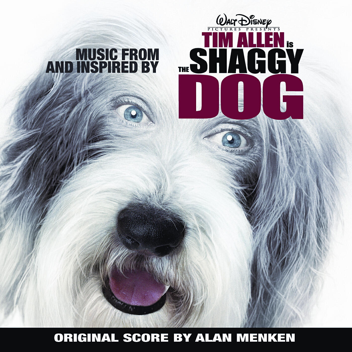 Every dog. Shaggy Dog. Dog album. Kyle Dog. Шегги музыка.