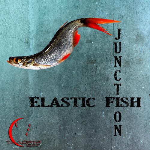Elastic Fish - Junction (LaBam Remix)