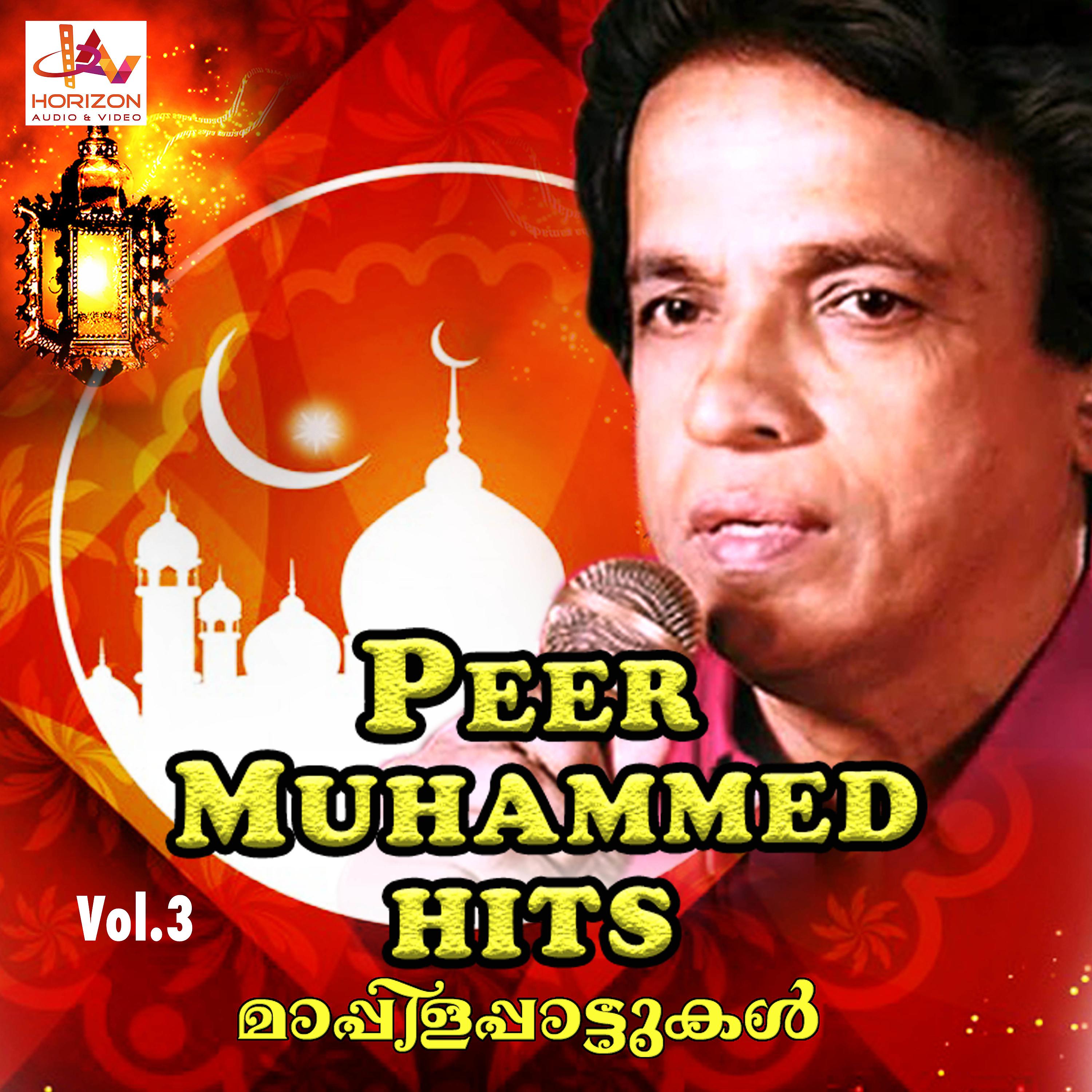 Постер альбома Peer Muhammed Hits, Vol. 3