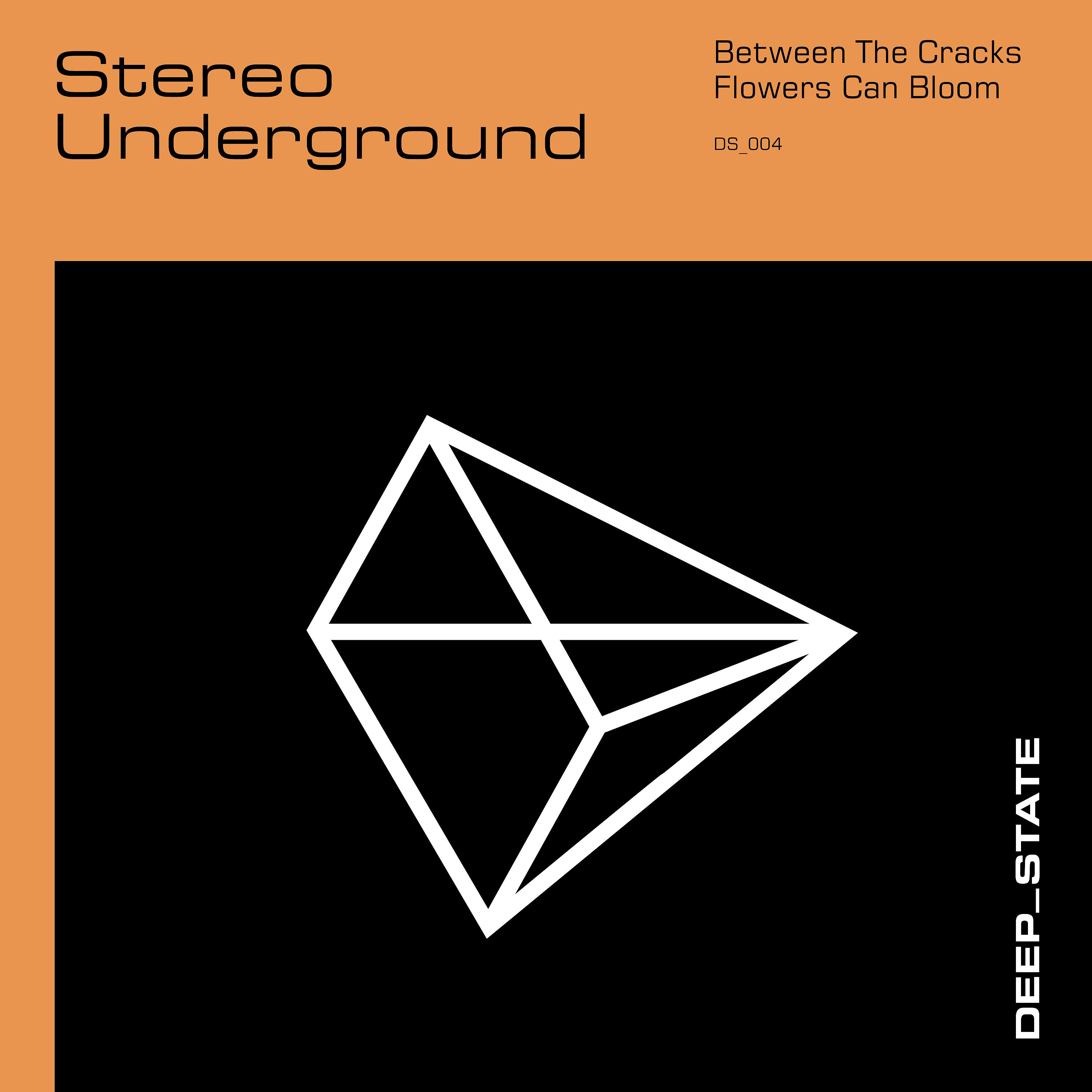Постер альбома Stereo Underground