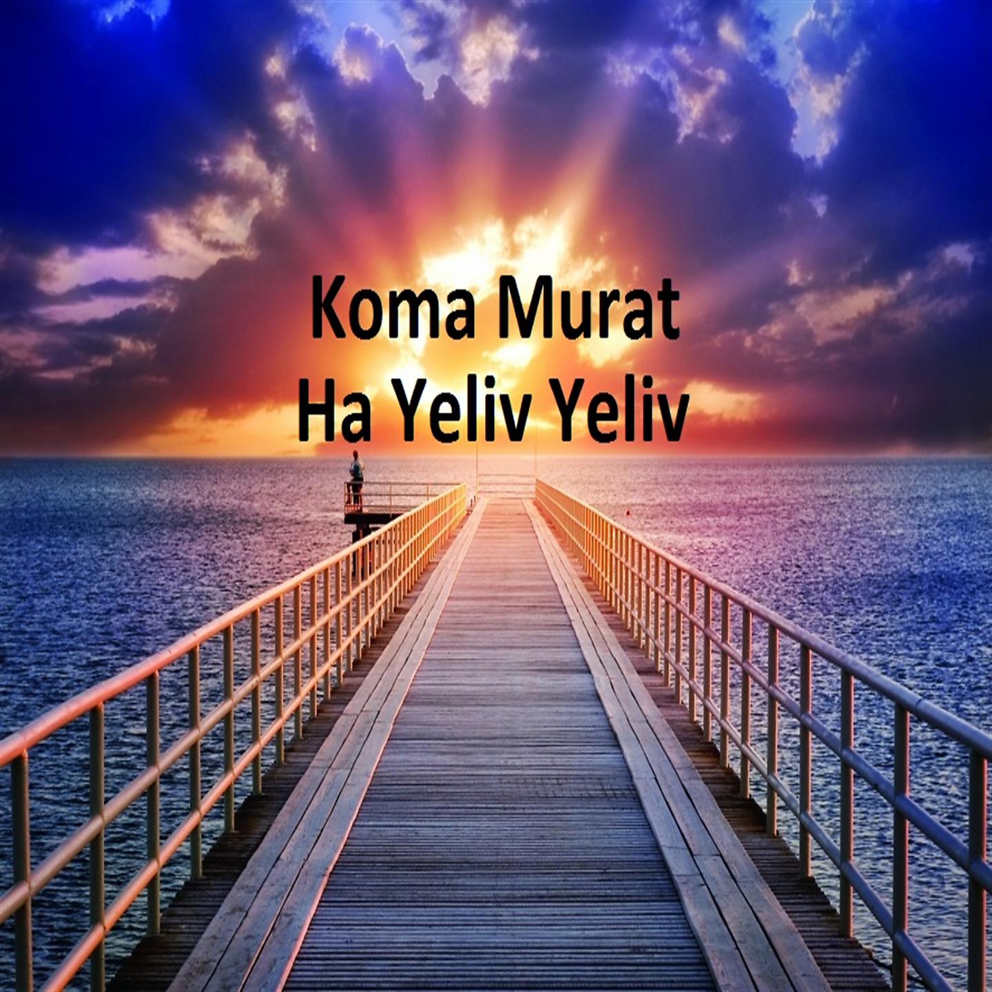 Постер альбома Ha Yeliv Yeliv