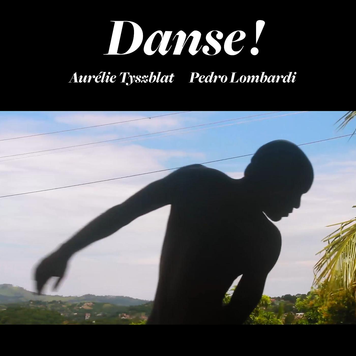 Постер альбома Danse !