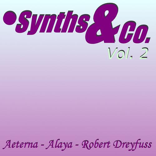 Постер альбома Synths & Co, Vol. 2