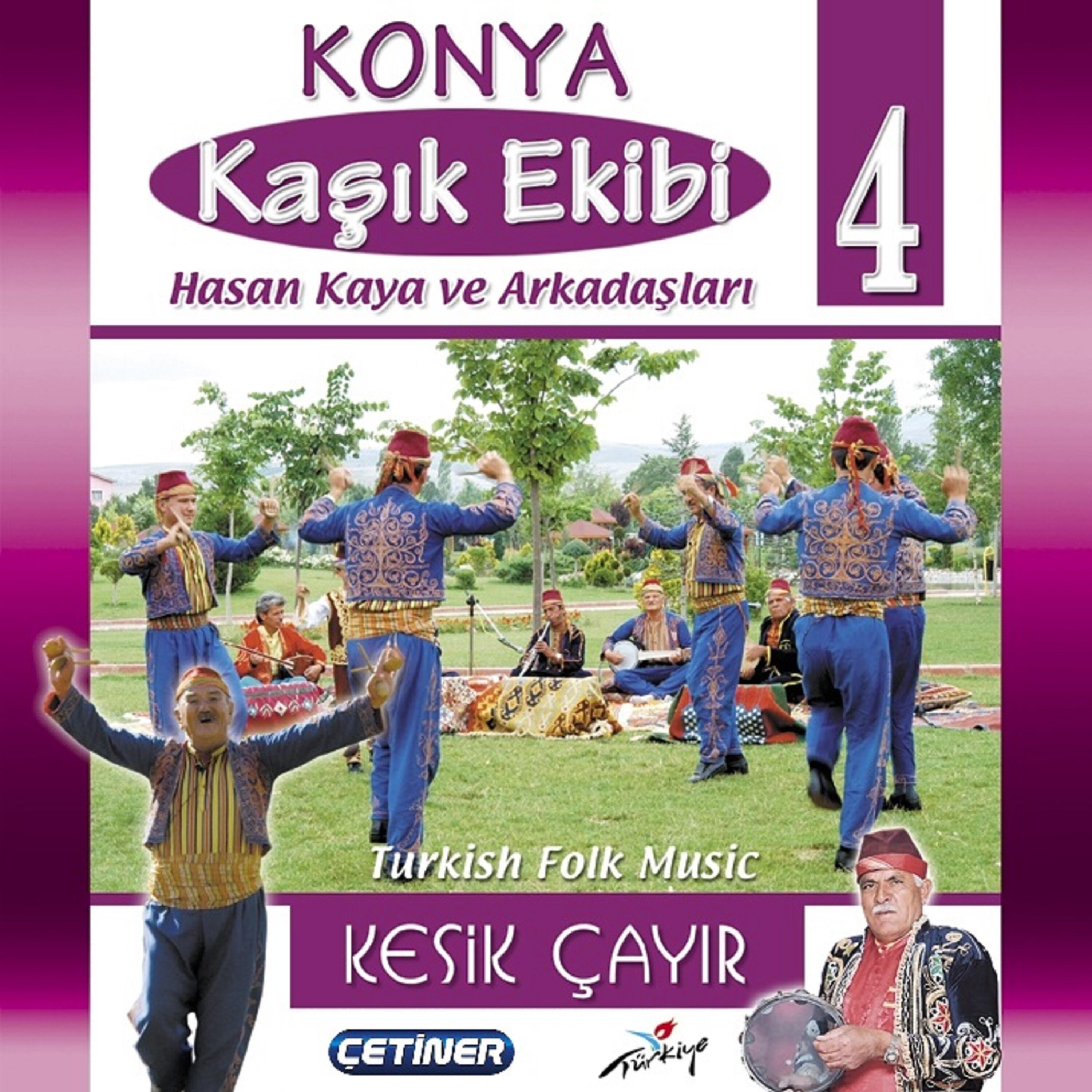 Hasan Kaya - Dedik (Live)