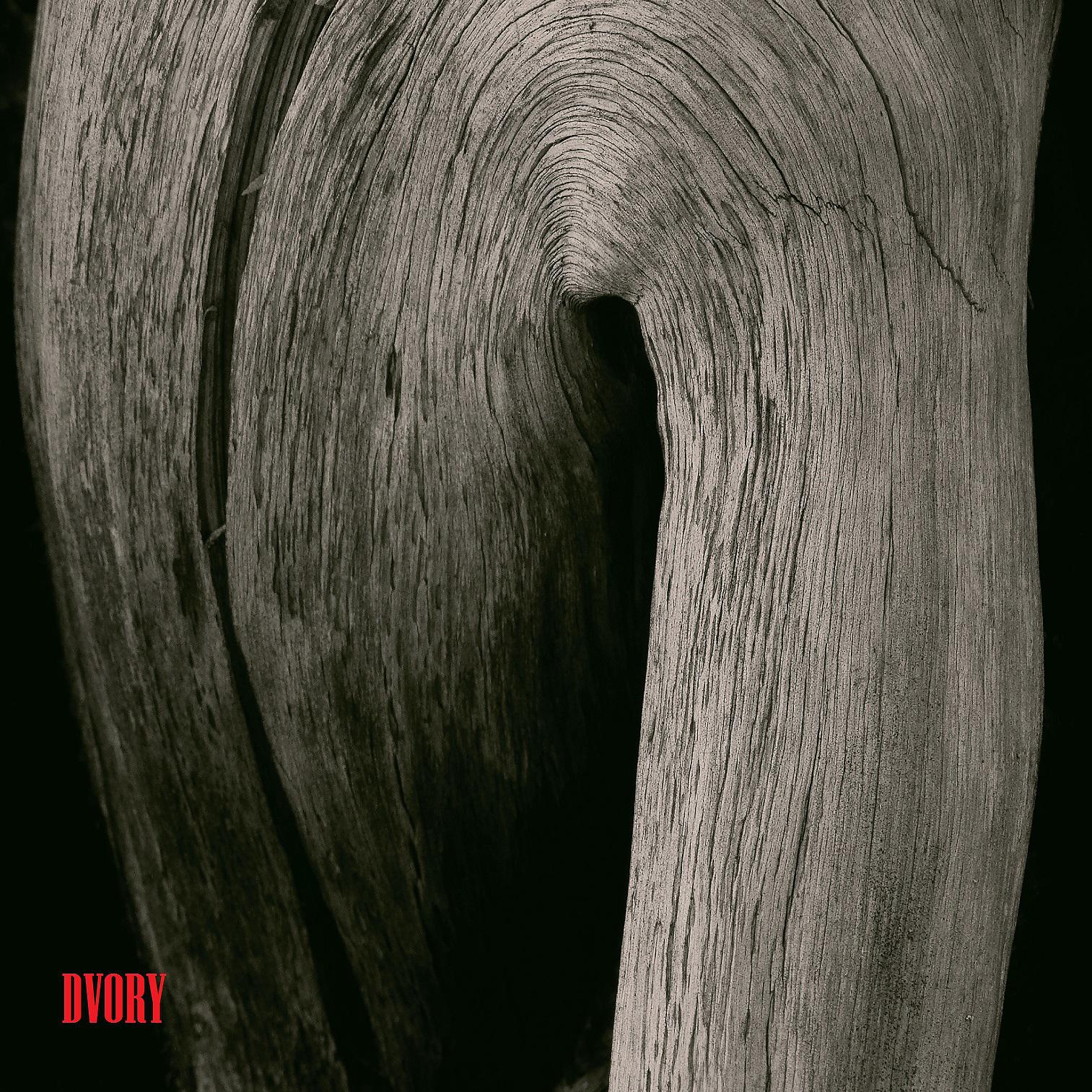 Постер альбома Dvory