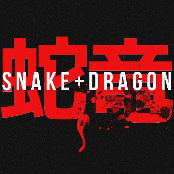 Постер альбома Snake + Dragon