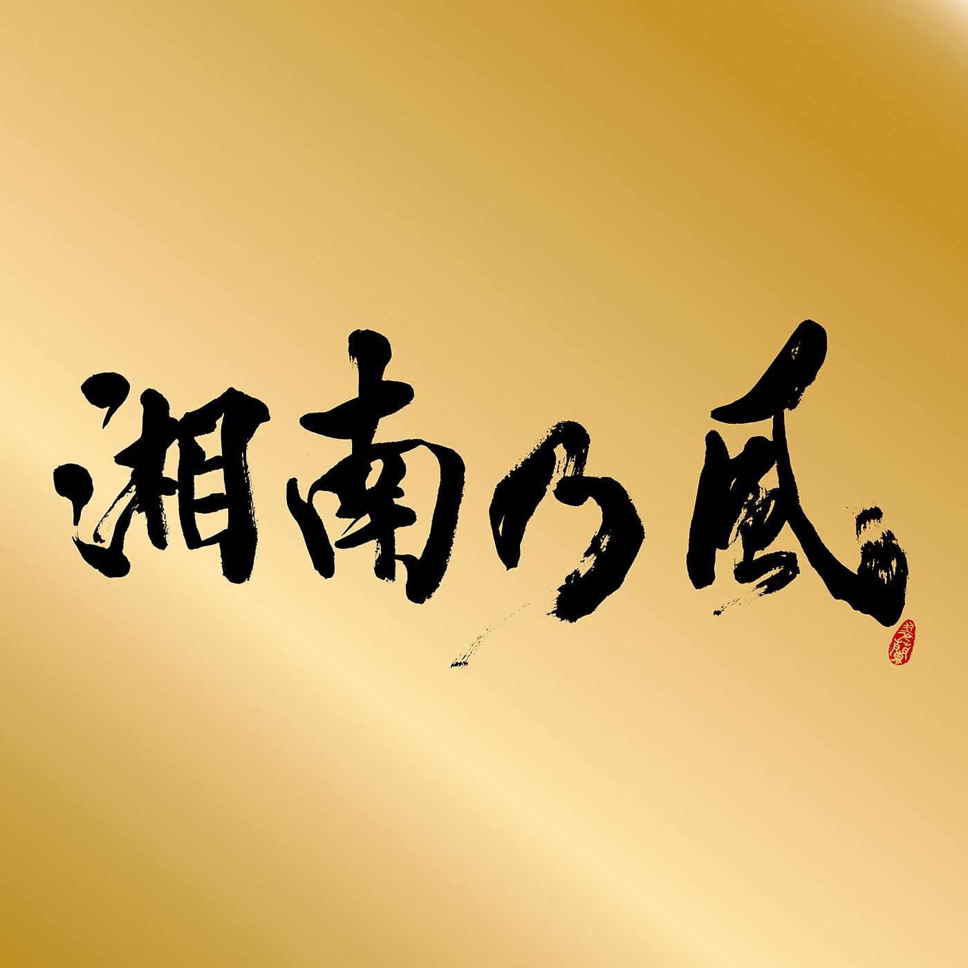 Постер альбома Shounanno Kaze -Single Best-