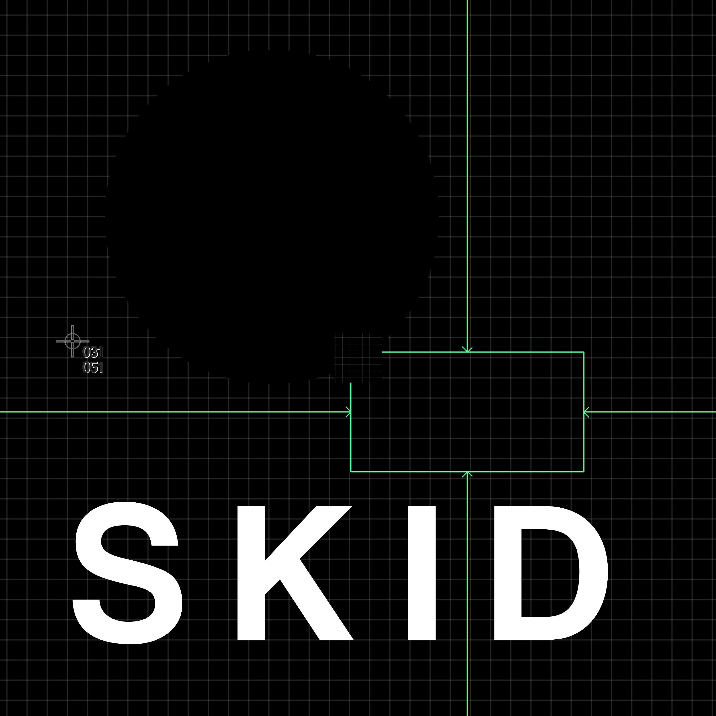 Постер альбома S K I D