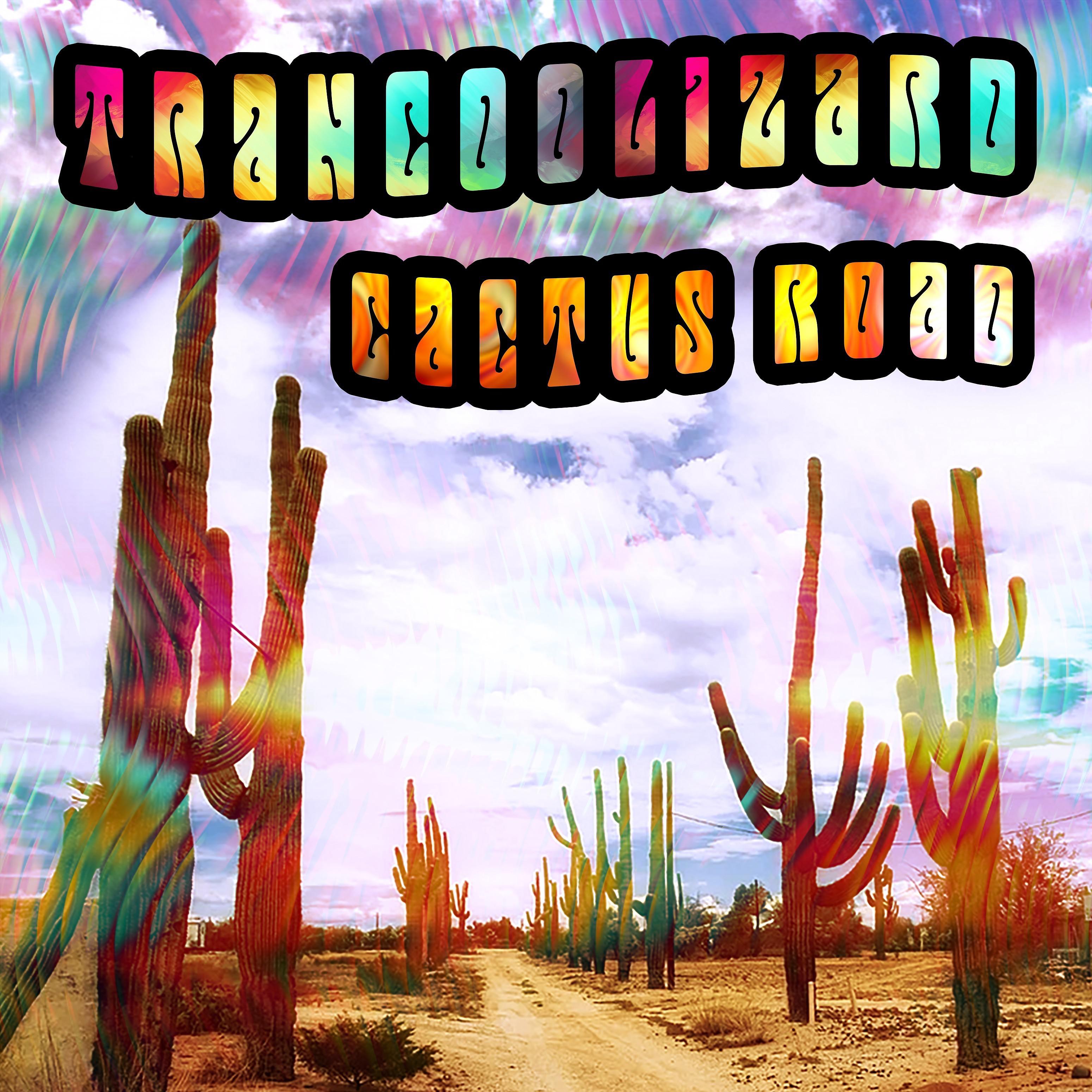 Постер альбома Cactus Road