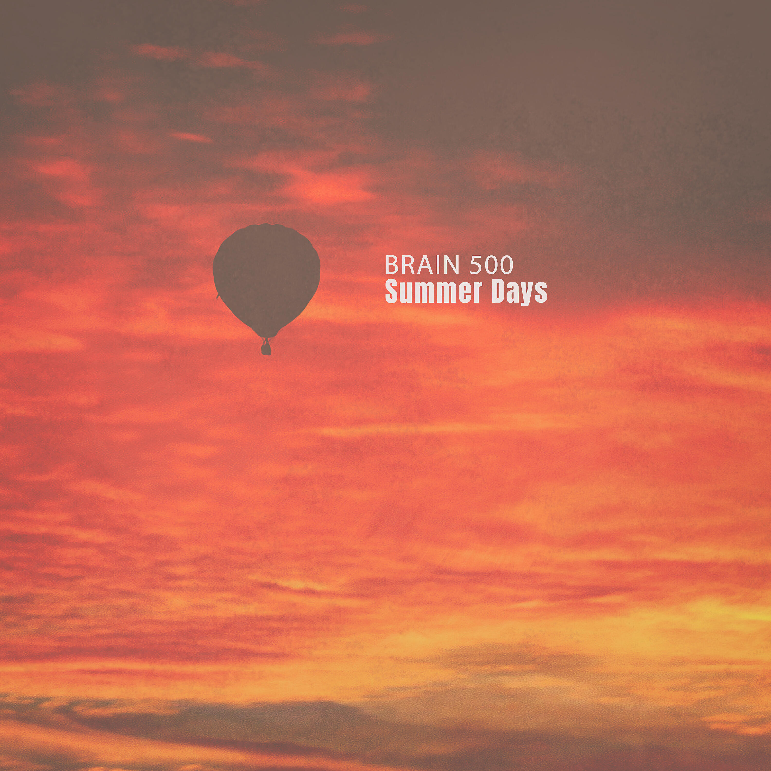 Brain 500 - Elefant (Savannah Mix)