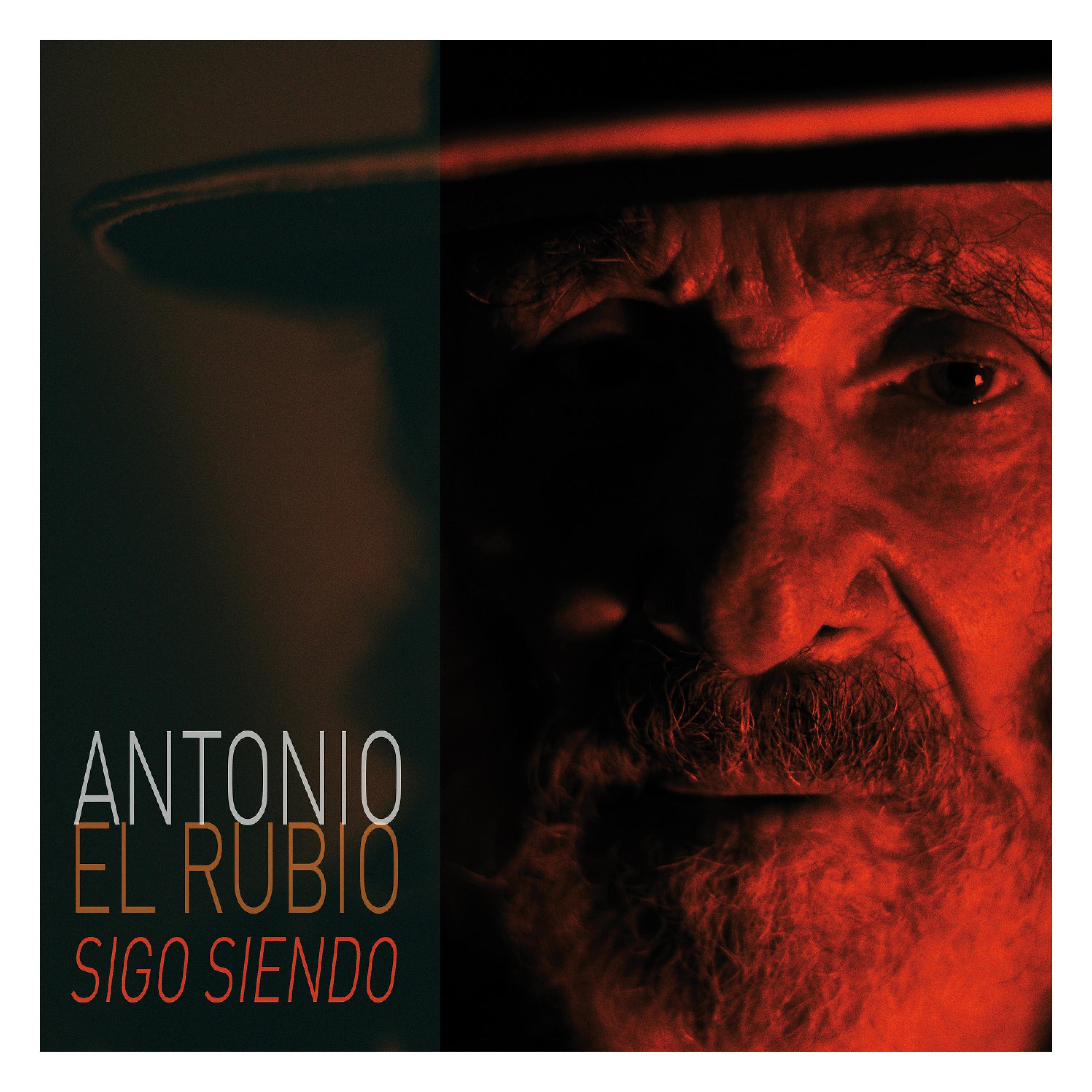 Постер альбома Sigo Siendo
