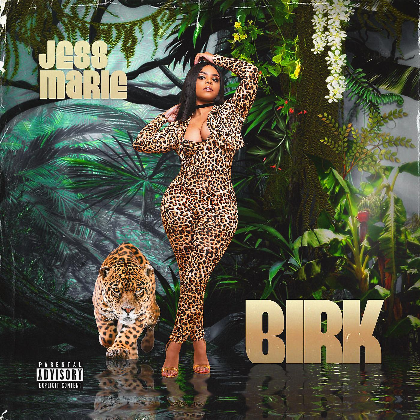 Постер альбома Birk