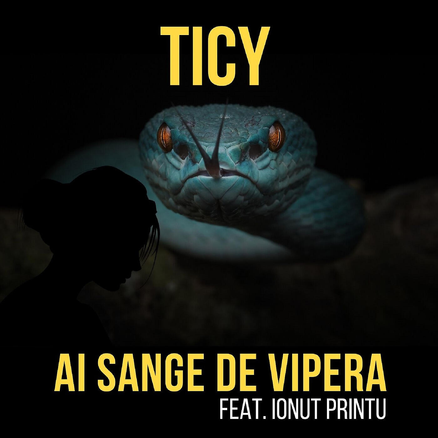 TICY - Ai Sange De Vipera