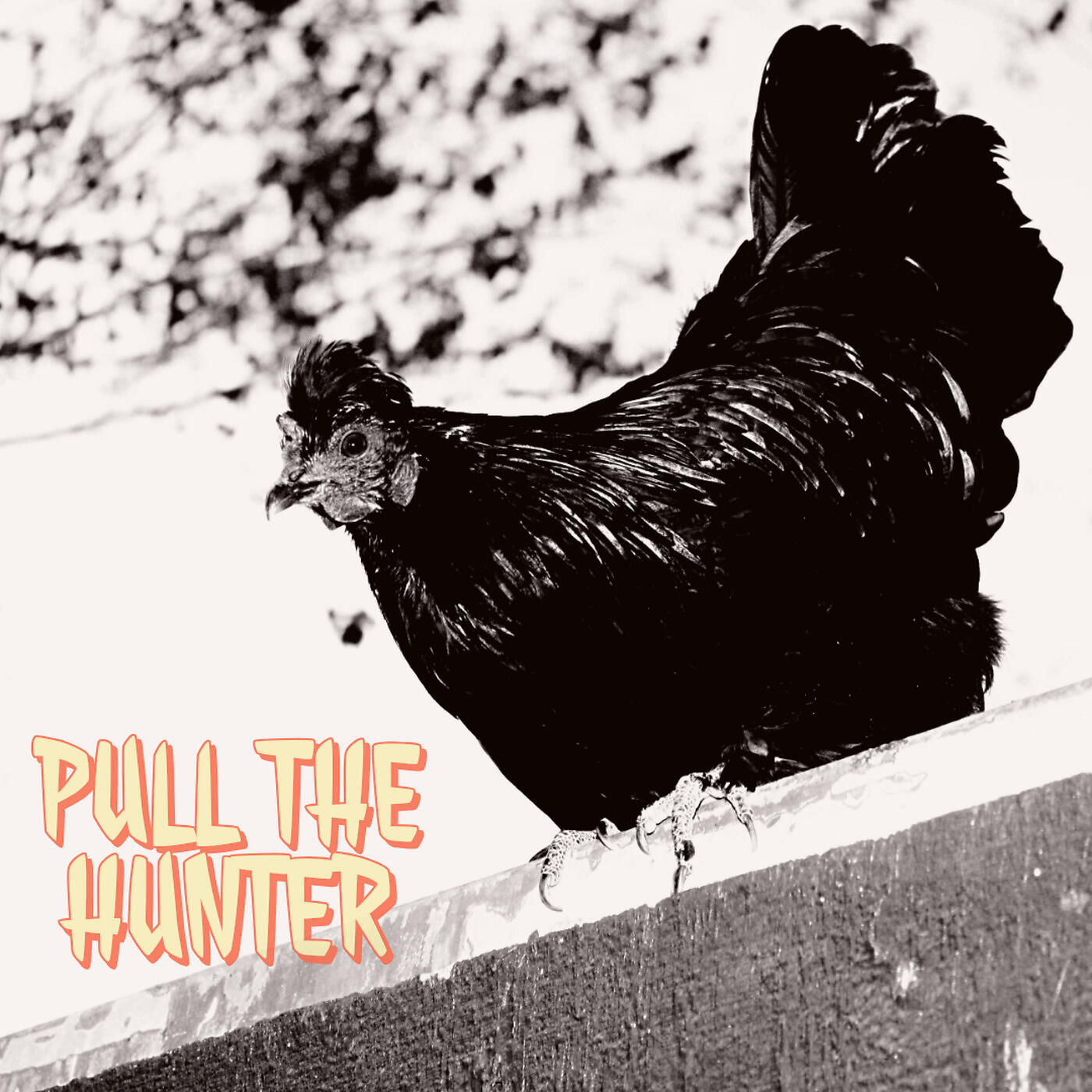 Pull the Hunter - Don't Lose Your Head