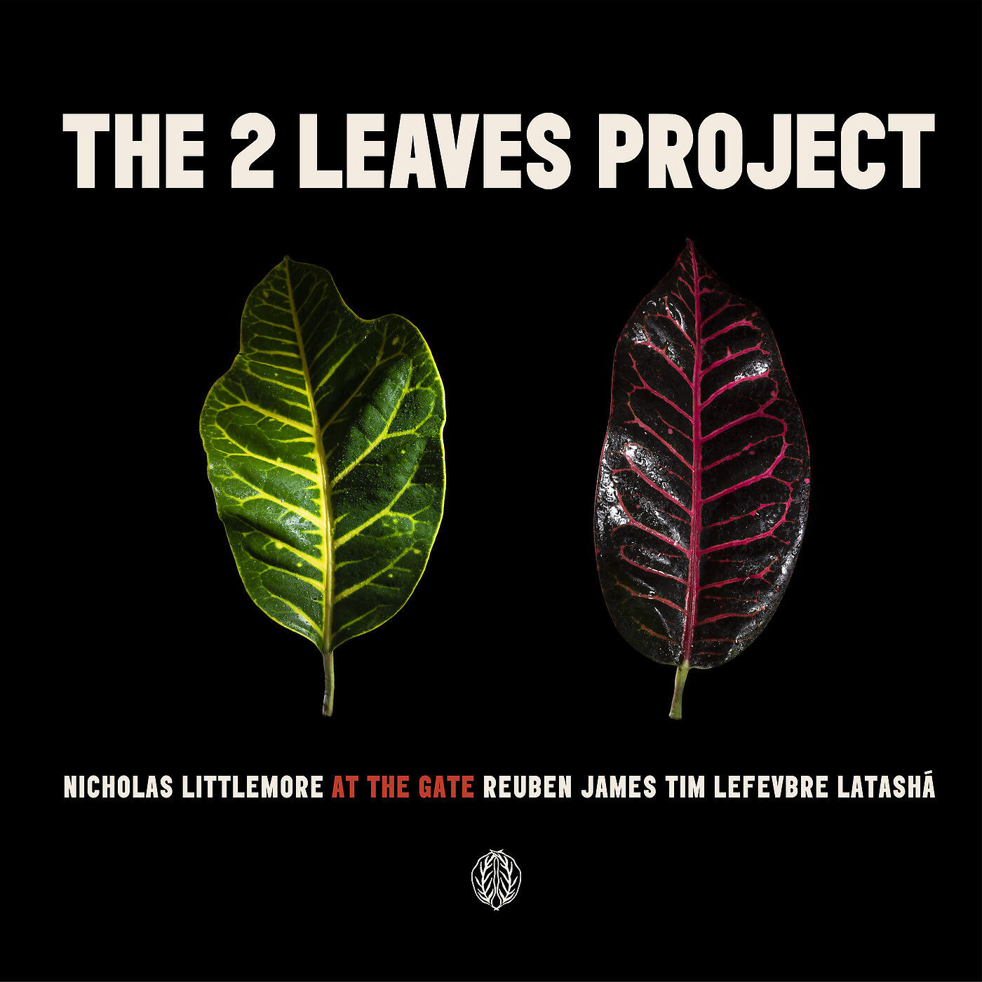Nicholas Littlemore's The Two Leaves Project - Moon Night