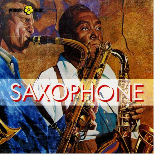 Постер альбома Saxophon