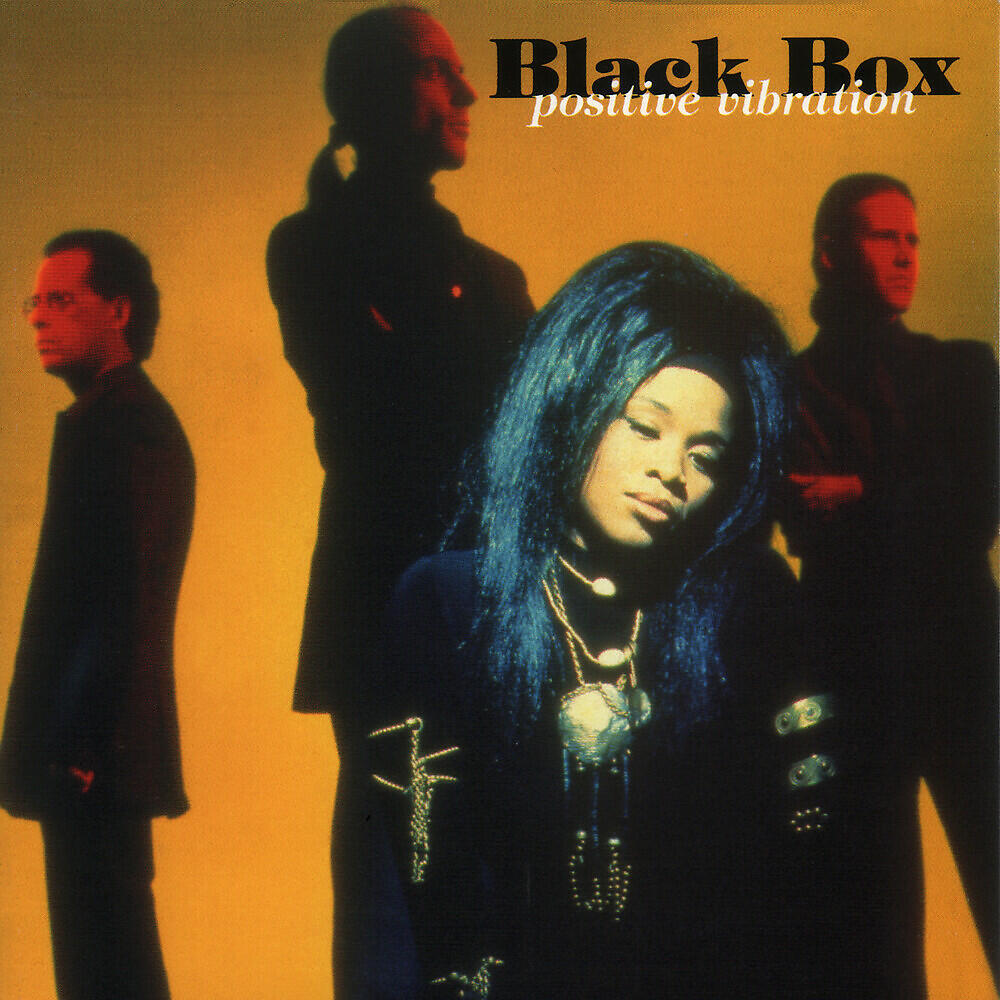 Black Box - Native New Yorker (Steve Silk Hurley Mix)