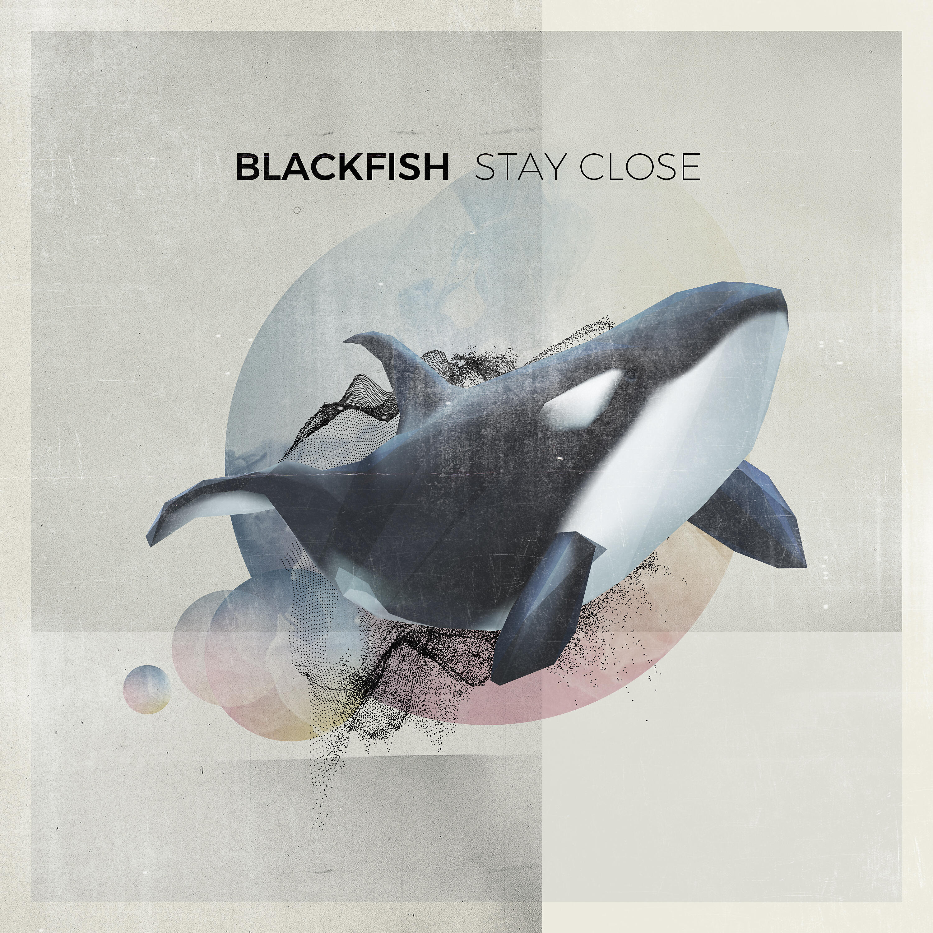 Blackfish - Move
