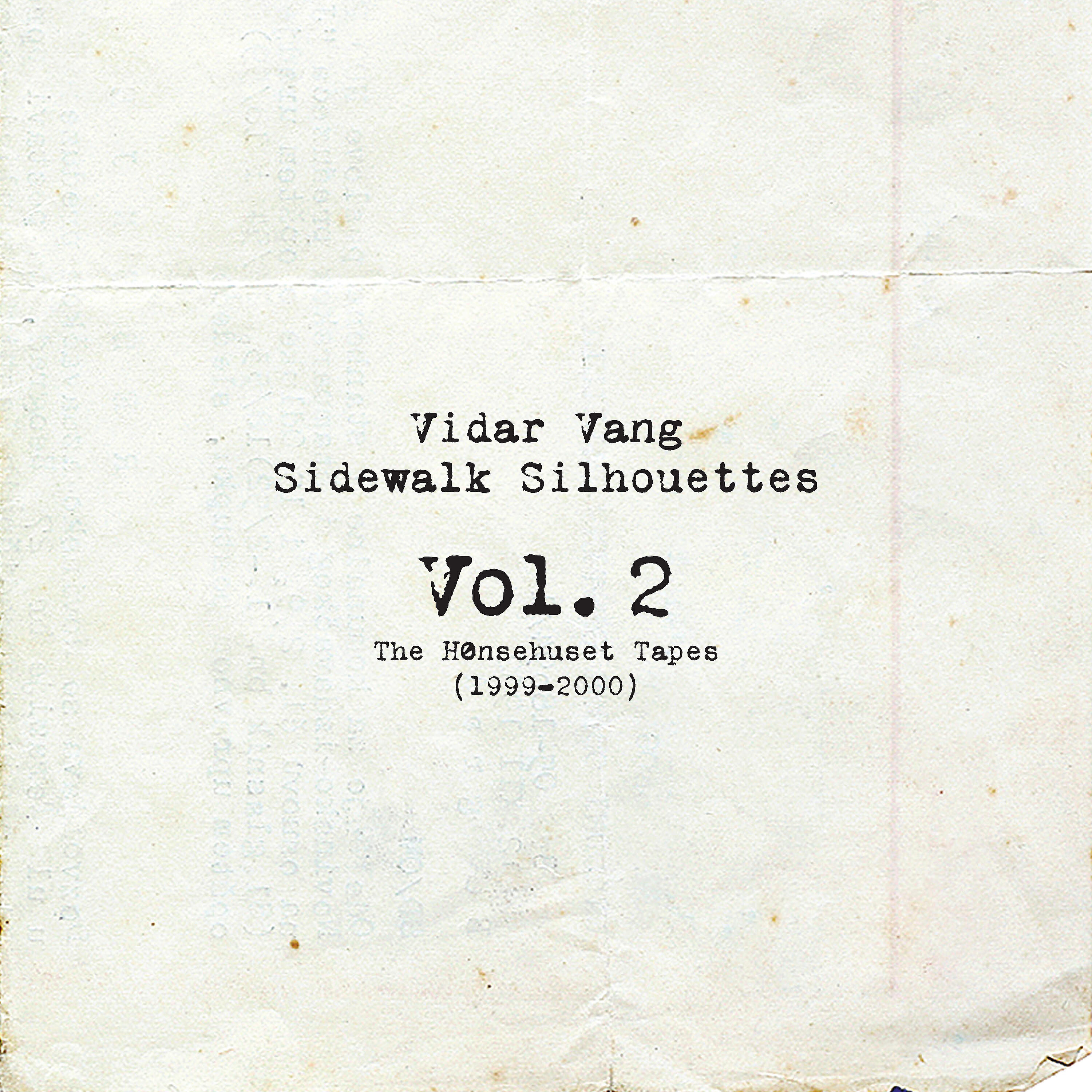 Vidar Vang - Silvershine
