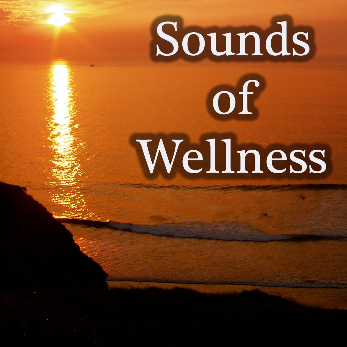Постер альбома Sounds Of Wellness
