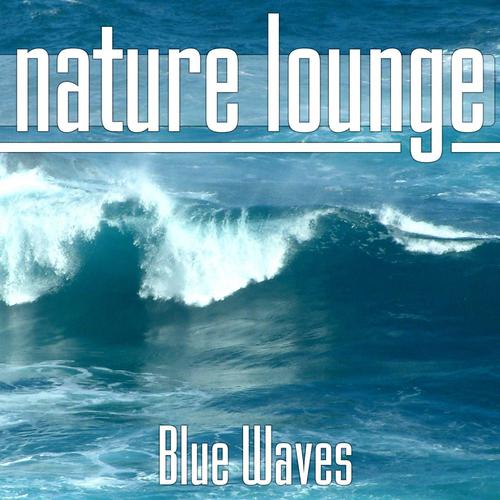 Постер альбома Blue Waves