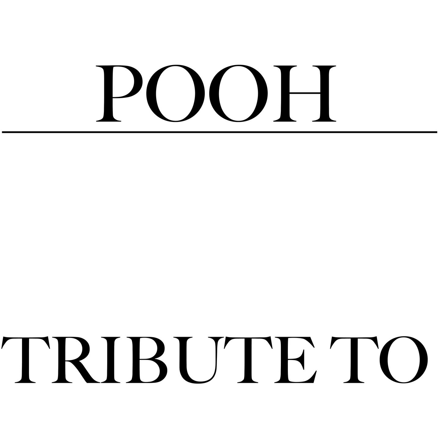 Постер альбома Tributo ai Pooh