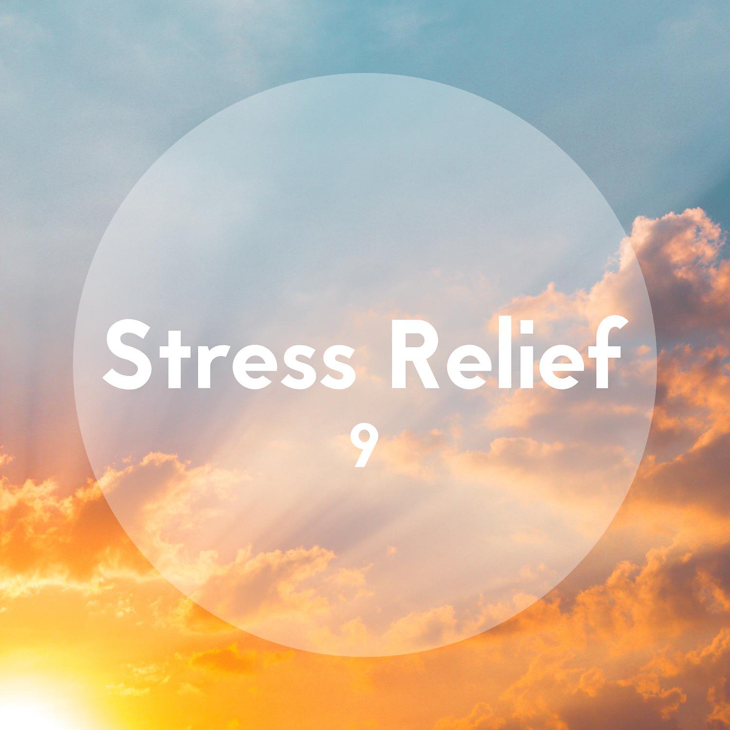 Постер альбома Stress Relief, Vol. 9