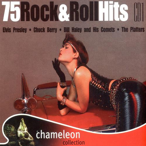Постер альбома 75 Rock & Roll Hits