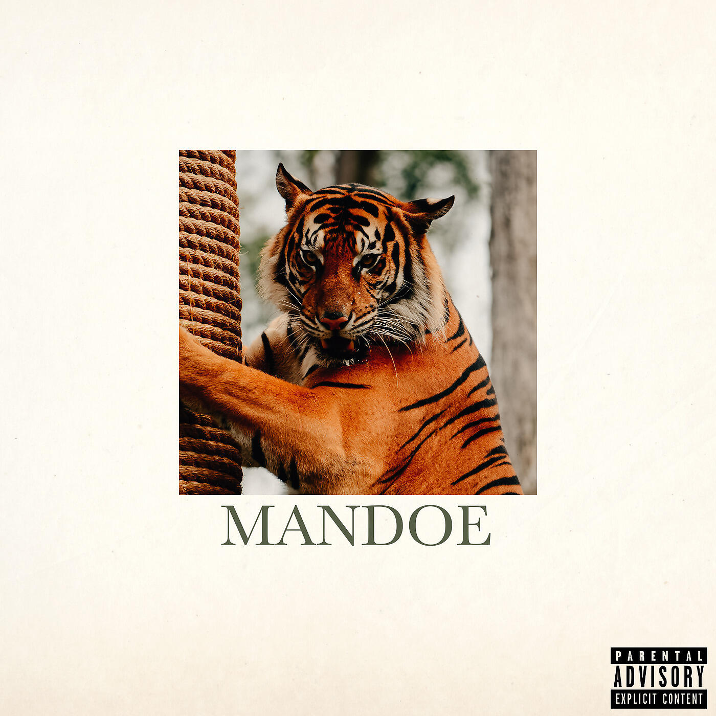 Lil Windex - Mandoe
