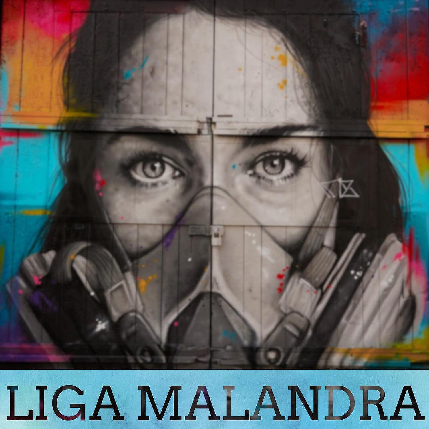 Постер альбома Liga Malandra