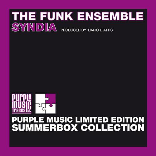 The Funk Ensemble - Syndia (Roberto De Carlo Salento Mix)