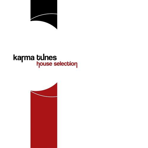 Постер альбома Karma Tunes House Selection