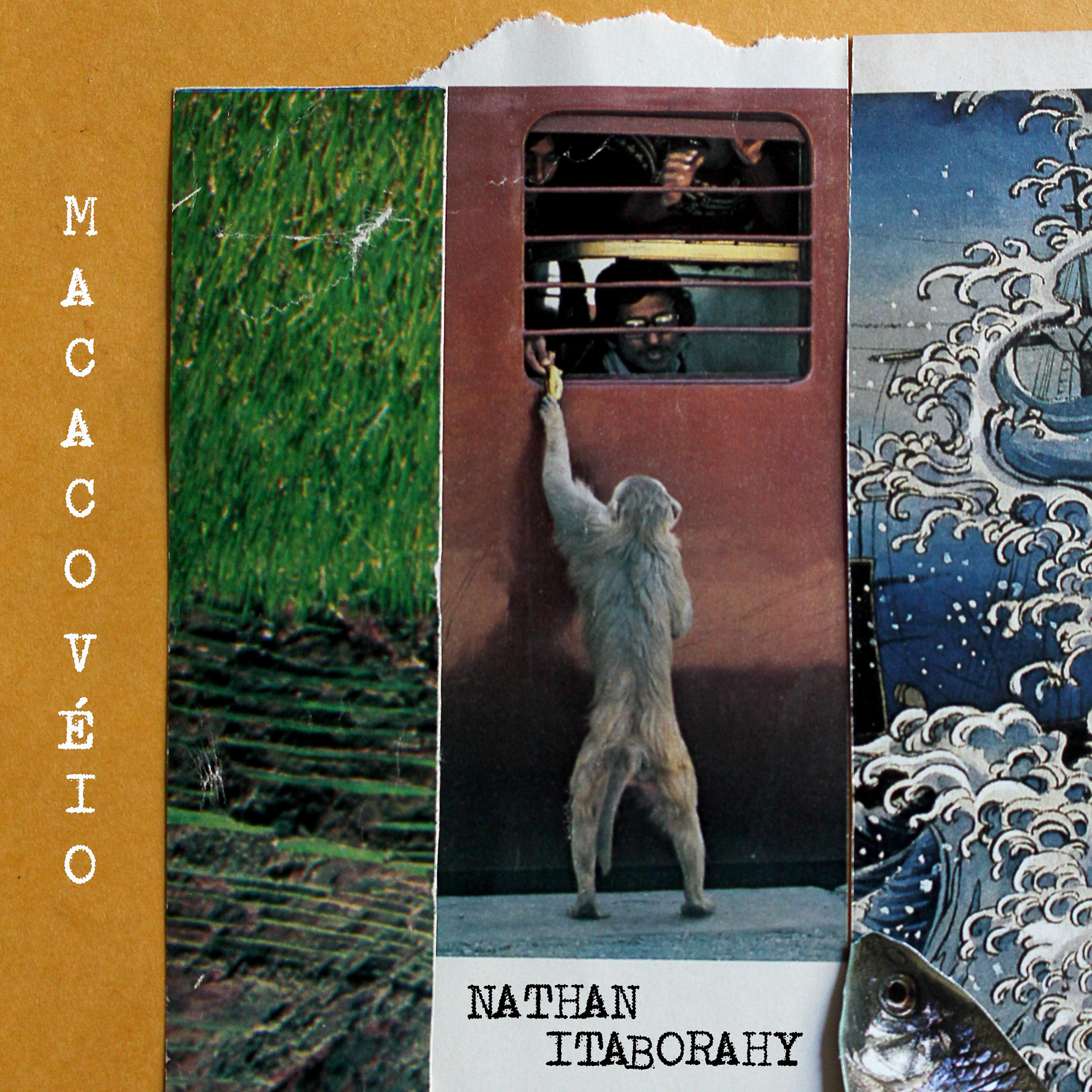 Постер альбома Macaco Véio