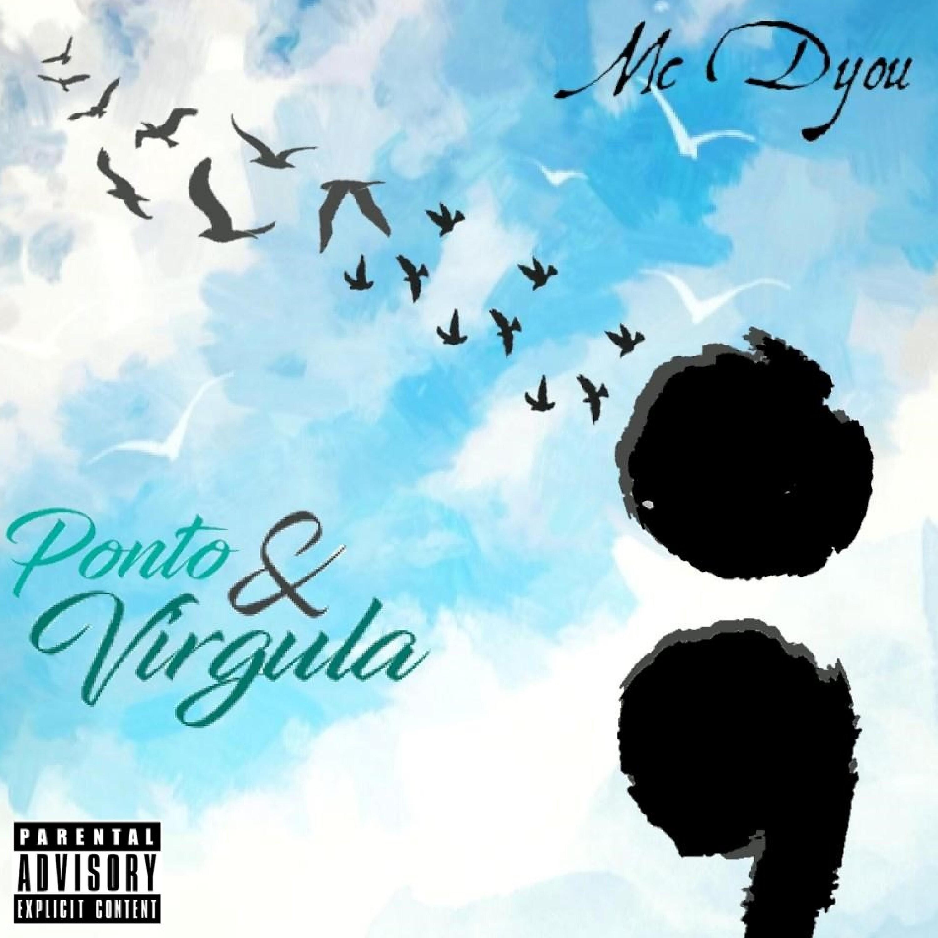 Постер альбома Ponto e Virgula