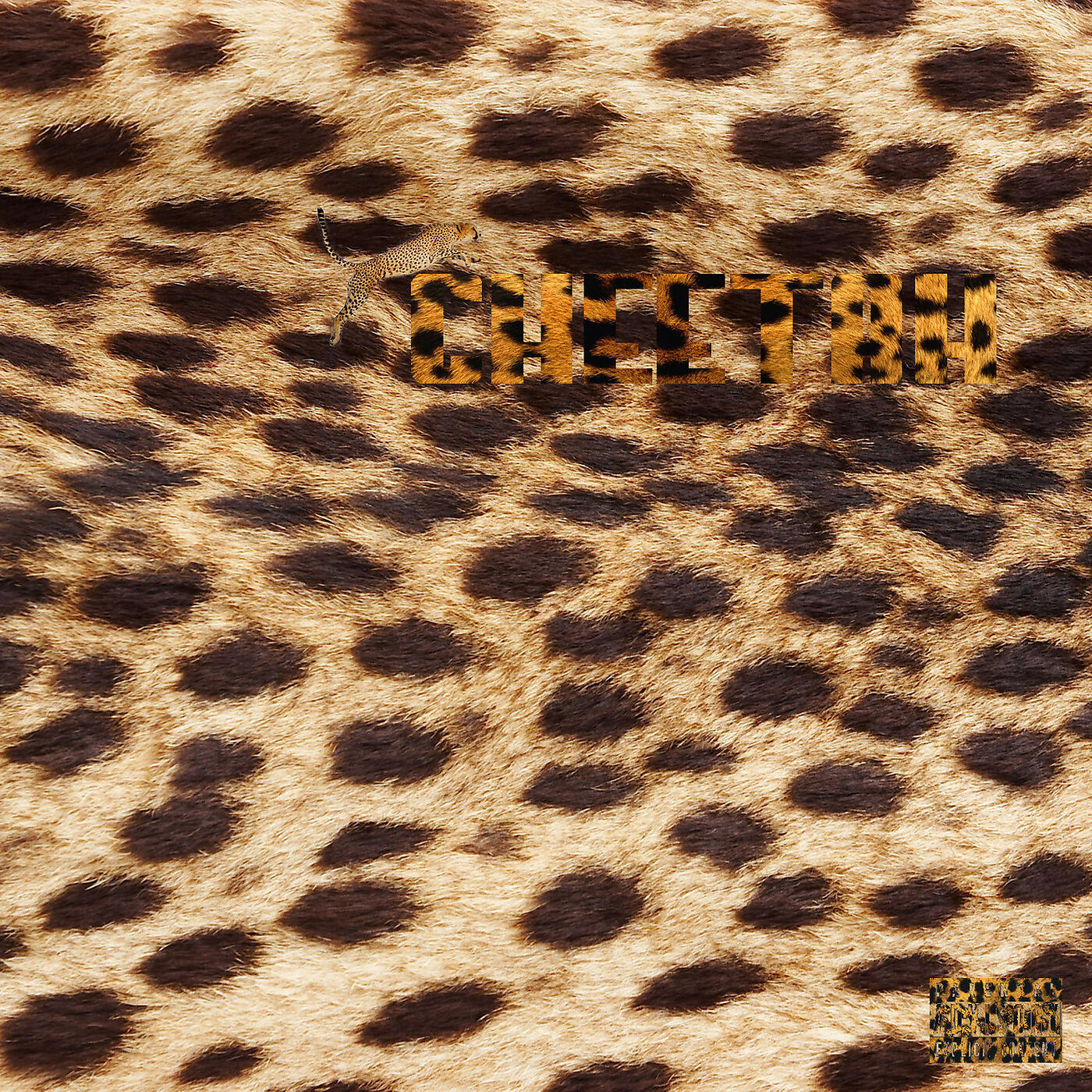b.b. doll - Cheetah