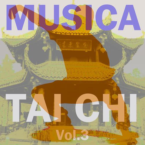 Постер альбома Musica tai chi, vol. 3
