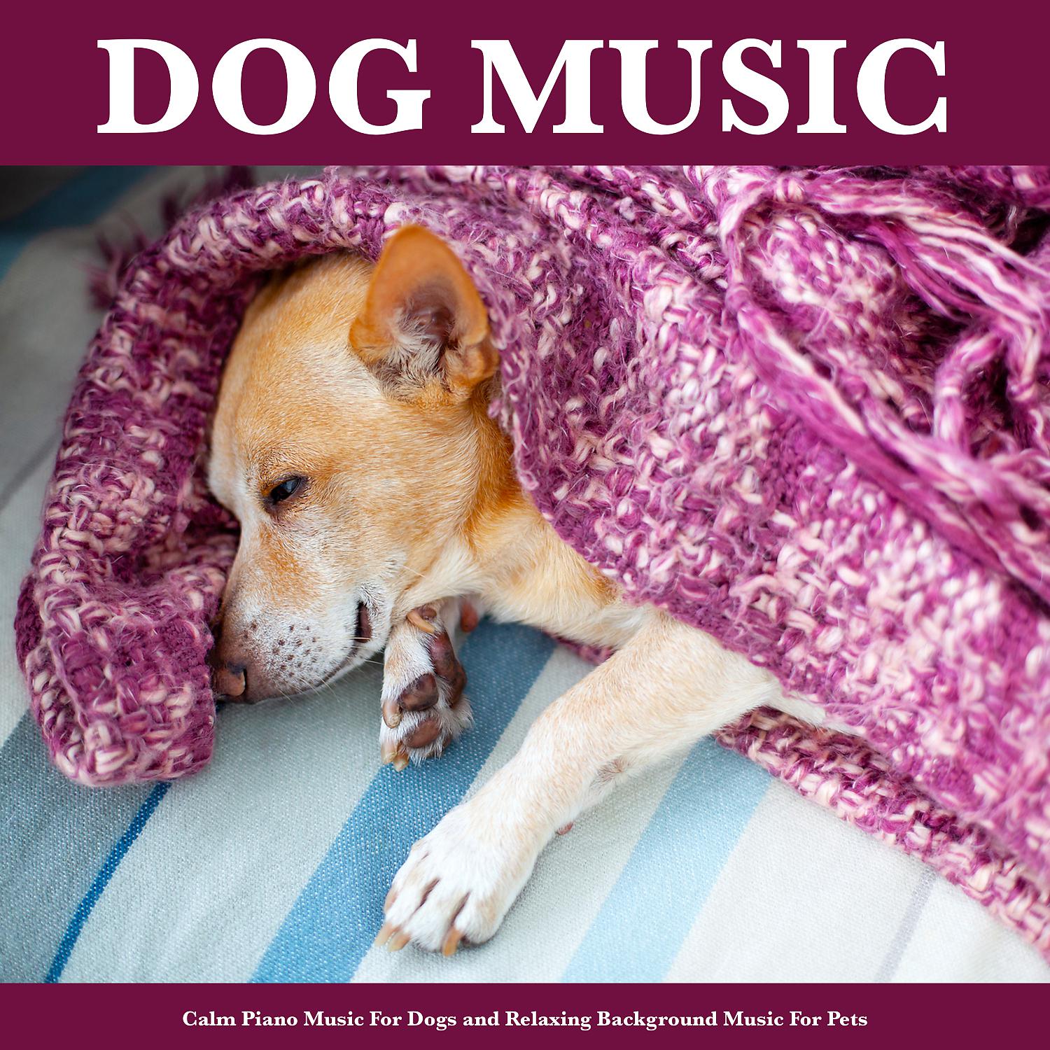 Постер альбома Dog Music: Calm Piano Music For Dogs and Relaxing Background Music For Pets