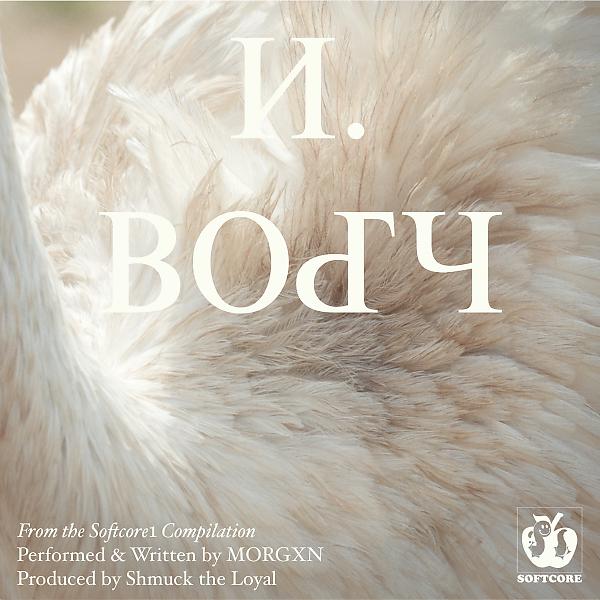 Постер альбома N.BODY (feat. morgxn)