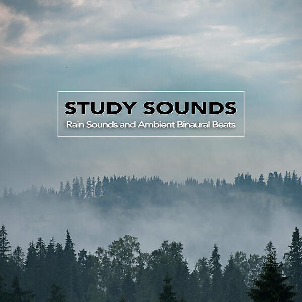 Binaural Beats Sleep - Music For Reading
