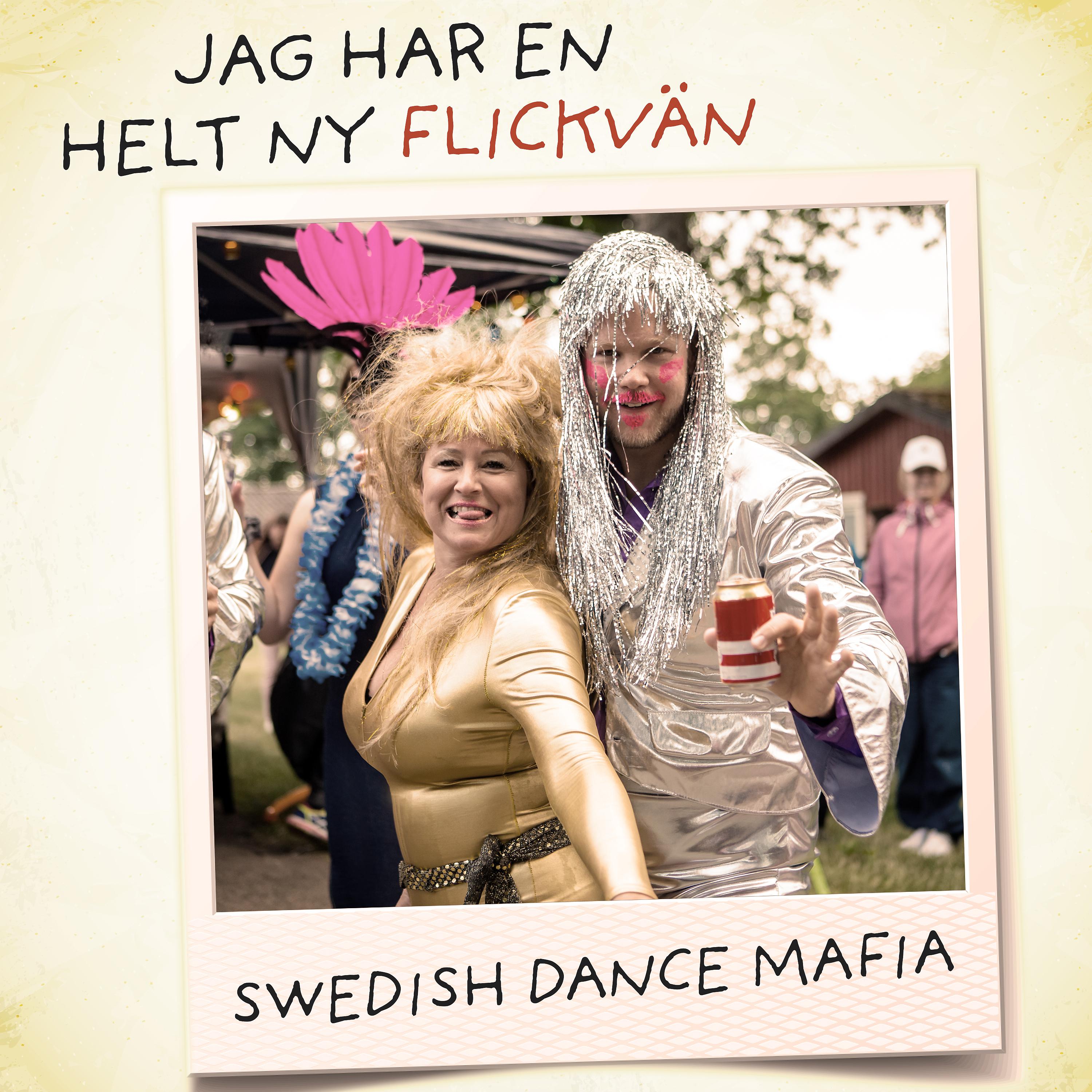 Постер альбома Jag Har En Helt Ny Flickvän