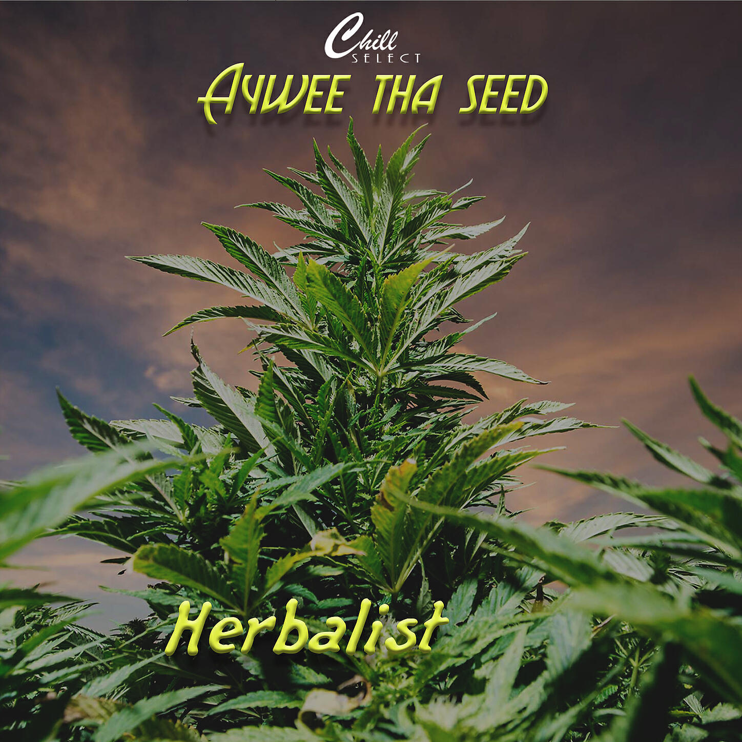 Aywee Tha Seed - Moves