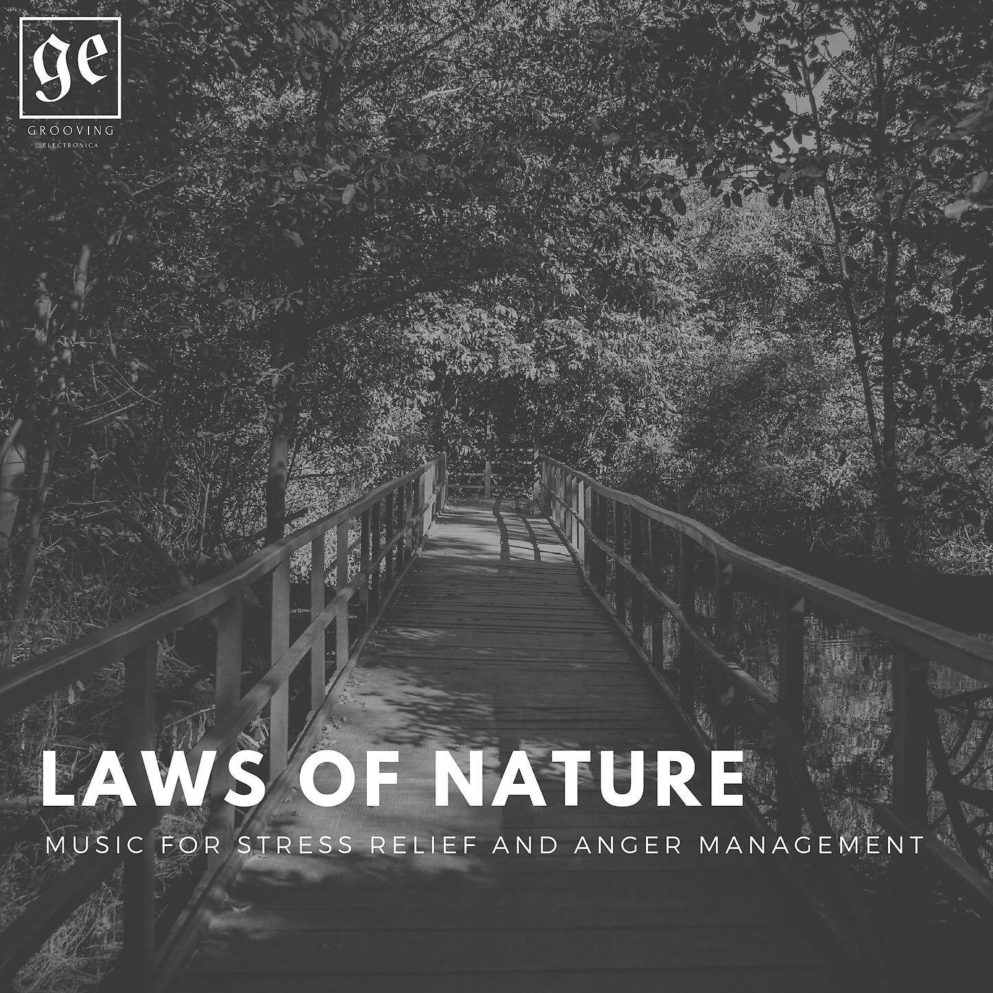 Liquid Ambiance - Misty Hope