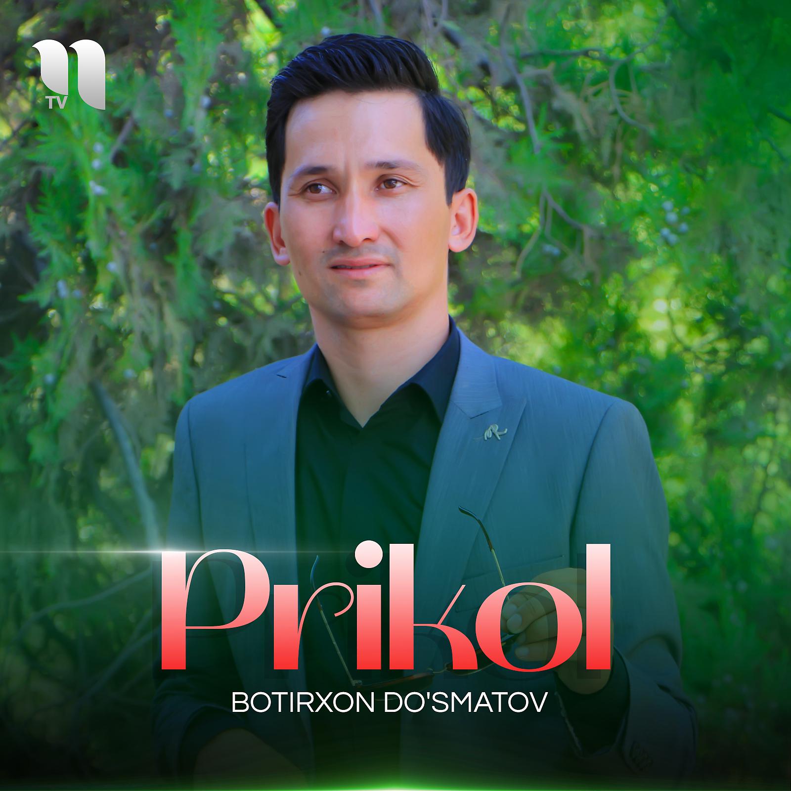 Постер альбома Prikol