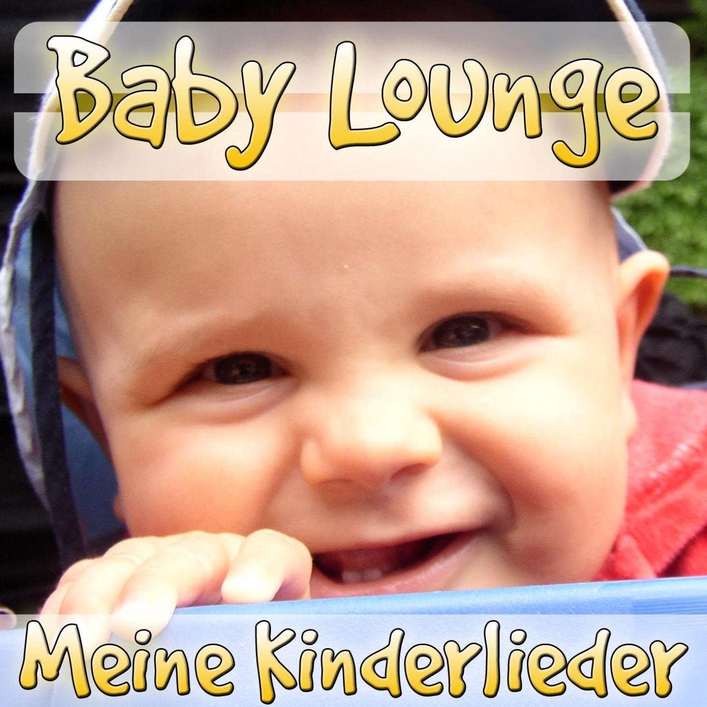 Постер альбома Baby Lounge  - Meine Kinderlieder