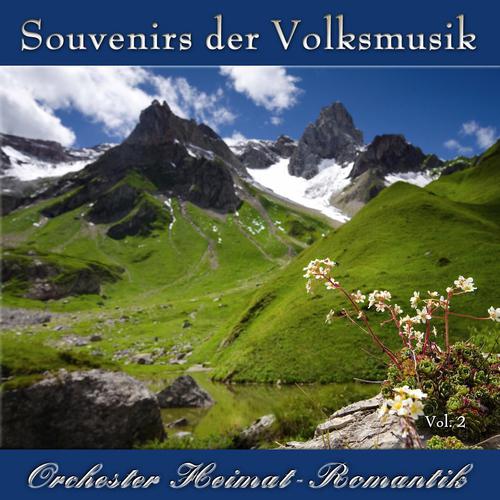 Постер альбома Souvenirs der Volksmusik Vol. 2